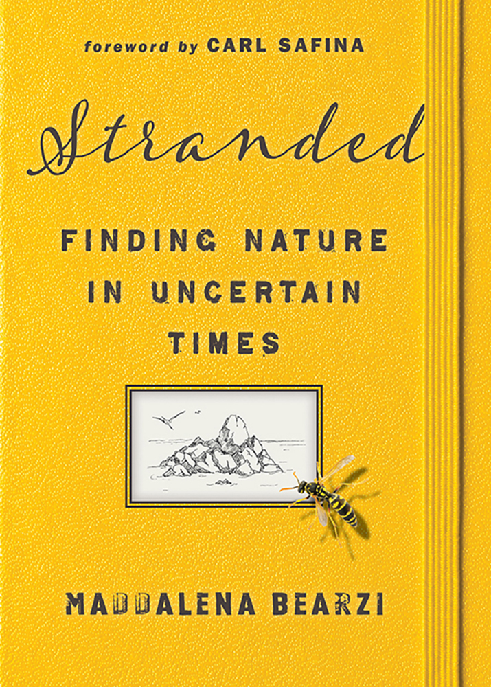 Stranded, a book by Maddalena Bearzi